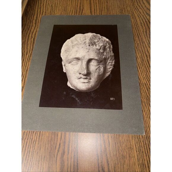 Vintage Head of Youth Greek Sculpture in Style Of Scopas - Mounted Photo Museum - Picture 1 of 3
